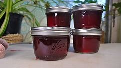 HOMEMADE PLUM JELLY RECIPE | The Good Old Way