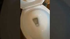 How to fix a Kohler toilet that will not fill up. SOLVED!