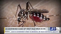 Mississippi reports 14 human cases of West Nile Virus