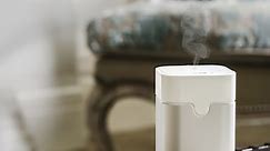 How to Clean Your Humidifier (Since You're Definitely Not Doing It Often Enough)