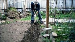 All You Need to Know About Garden Tilling