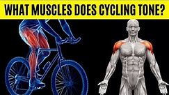 What Muscles Does Cycling Tone? 8 Muscle Groups Targeted by Cycling