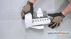How To: GE Ice Stripper WR29X10085
