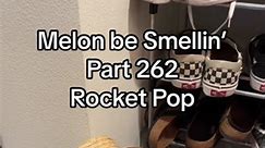 Melon be Smellin’ Part 262 😤🤢🫡 #MelonBeSmellin #melonnfinn #cat #catsoftiktok #fyp #tiktok #fourthofjuly