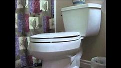 Toilet Flush Sound Effect