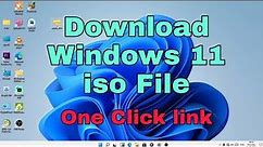 Download Windows 11 iso File 64/32 bit
