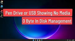 Pen Drive or USB Showing No Media 0 Byte In Disk Management Windows 11/10 FIXED