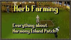Harmony Island Patch Upgrade Guide