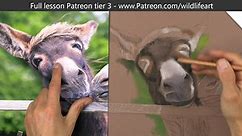 for those that want to see how... - Jason Morgan Wildlife Art