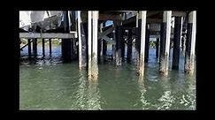 Garmin LiveScope - Saltwater Inshore