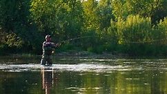 「釣りをする。人は空中をたくさんの虫が飛ぶように野生の川で釣りをする」の動画素材（ロイヤリティフリー）1084410835 | Shutterstock