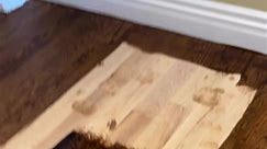 Red oak hardwood floor staining in progress 👏🏼 #stainingwood #hardwoodfloors #hardwoodflooring #staining #flooringinstallation #flooringexperts | Switch Your Floors