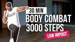 30 Minute Body Combat Beginner Workout | Step Workout