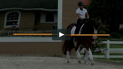 Horse Riding Training Series