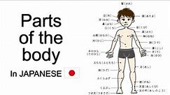 Learn Japanese basics: 50 Nouns of body