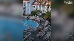 Tourists fight every day for the best sunbeds by hotel pool