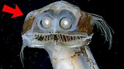 Top 10 Most UNUSUAL Deep Sea Creatures Ever Discovered