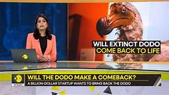 Gravitas: What's the story of the Dodo?