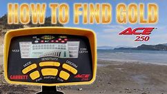 Garrett Ace 250 Metal Detector How to find Gold at the Beach