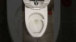 Long flushing toilets #LongFlush#FlushItAll#PowerfulFlush#NeverEndingFlush#EfficientToilet#Flush