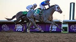 Belmont Stakes Odds & Betting Lines 2024 - Who Will Win at Saratoga?