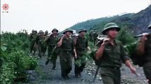 Discover the Stories of Vietnam War Through Movies
