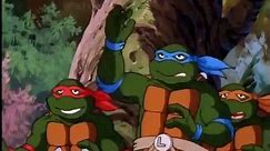 Teenage Mutant Ninja Turtles - Se8 - Ep08 - Turtle Trek HD Watch - video Dailymotion