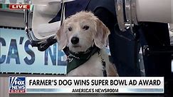 Farmer’s Dog captures hearts with Super Bowl ad