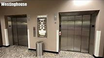 Discover the Different Types of Elevators at Dillard's Stores
