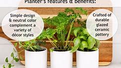 Mainstays White Ceramic 11in x 3.75in x 4in Herb Plant Planter