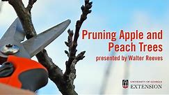 Pruning Peach and Apple Trees with Walter Reeves