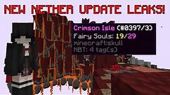 ALL NEW Leaks on The Nether Update! (Hypixel Skyblock)