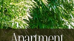 Seabreeze bamboo - Bambusa malingensis... - This Bamboo Life
