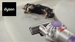 The new Dyson V8™ cordless vacuum. Powerful and low noise.