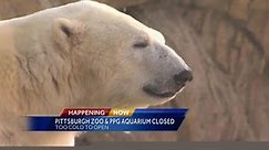 Pittsburgh Zoo & PPG Aquarium closed Saturday due to cold