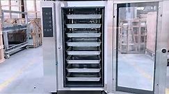 R&M 🔥 Commercial Bakery Baking Gas&Electric 8 Trays 2 in 1 Convection oven(With heating pipe)