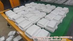 Polystyrene Take Away Disposable Food Container Making Machine Fast Food Lunch Box Making Machine