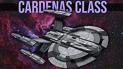 26 Phaser Arrays? The Cardenas Class Starship
