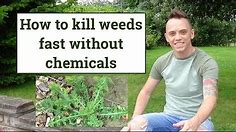How to kill weeds easily with a weed burner without chemicals