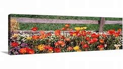 "Close-up of flowers growing near a fence" Canvas Wall Art - Bed Bath & Beyond - 16870023