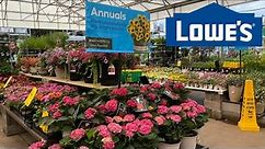 LOWE'S INVENTORY MAY 2023 LOADS OF FLOWERING SHRUBS PERENNIALS PROVEN WINNERS ANNUAL MONROVIA PLANTS