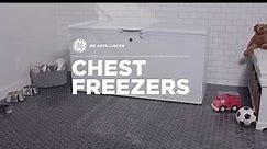 General Electric Appliances Chest Freezers with temperature alarm Ad 2018