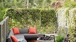 30 Cheap Backyard Ideas for Outdoor Spaces Large and Small