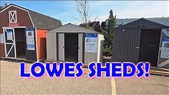 🧢LOWES SHED INVENTORY DISPLAY 2023