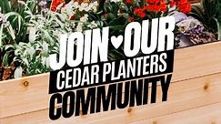 Cedar Planters Promo Video