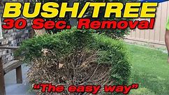 Worlds easiest and fastest way to remove Shrubs, Bushes, and Trees!