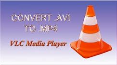 Convert .AVI to .MP4 in Offline - No internet