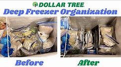 Deep Freezer Organization w/ Dollar Tree Bins