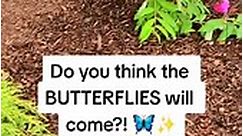 Do you think the #butterflies will come? #butterfly #gardening #cherylportervocalcoach #summer #butterflybush #walmart | Cherylporterdiva
