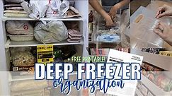 NEW! DEEP FREEZER ORGANIZATION | UPRIGHT FREEZER | BUDGET ORGANIZATION & INVENTORY LIST